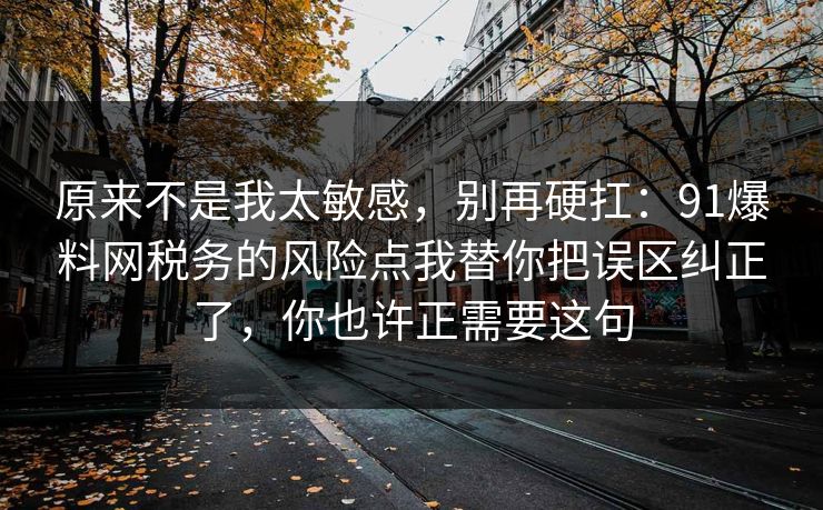 原来不是我太敏感，别再硬扛：91爆料网税务的风险点我替你把误区纠正了，你也许正需要这句