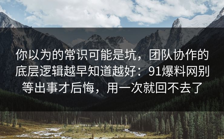 你以为的常识可能是坑，团队协作的底层逻辑越早知道越好：91爆料网别等出事才后悔，用一次就回不去了