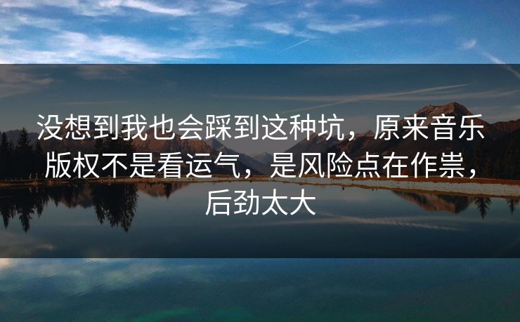 没想到我也会踩到这种坑，原来音乐版权不是看运气，是风险点在作祟，后劲太大