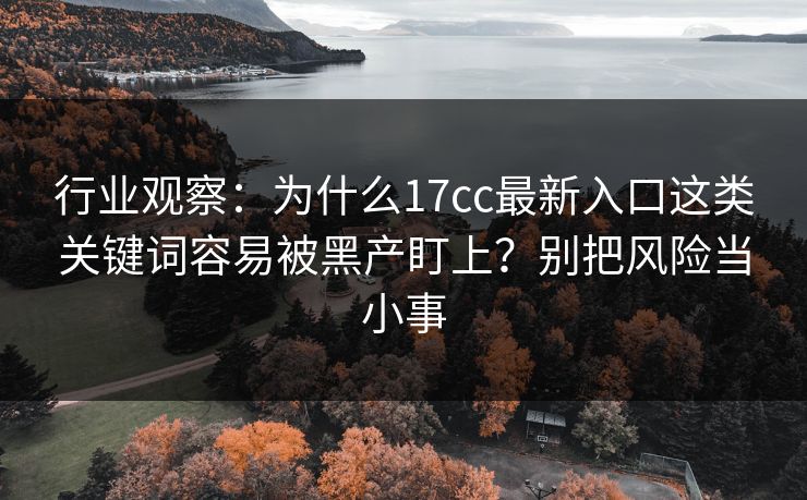行业观察：为什么17cc最新入口这类关键词容易被黑产盯上？别把风险当小事