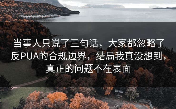 当事人只说了三句话，大家都忽略了反PUA的合规边界，结局我真没想到，真正的问题不在表面