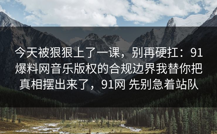 今天被狠狠上了一课，别再硬扛：91爆料网音乐版权的合规边界我替你把真相摆出来了，91网 先别急着站队