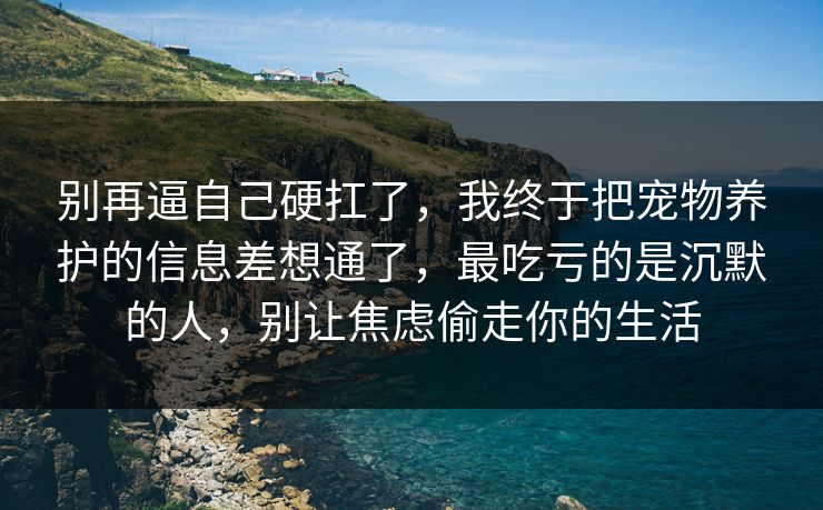 别再逼自己硬扛了,我终于把宠物养护的信息差想通了,最吃亏的是沉默的人,别让焦虑偷走你的生活 别再逼自己硬扛了,我终于把宠物养护的信息差想通了,最吃亏的是沉默的人,别让焦虑偷走你的生活