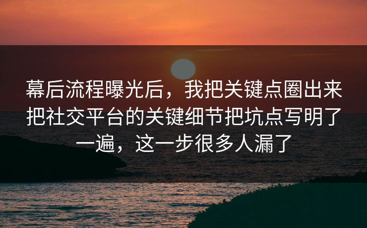 幕后流程曝光后,我把关键点圈出来把社交平台的关键细节把坑点写明了一遍,这一步很多人漏了 幕后流程曝光后,我把关键点圈出来把社交平台的关键细节把坑点写明了一遍,这一步很多人漏了