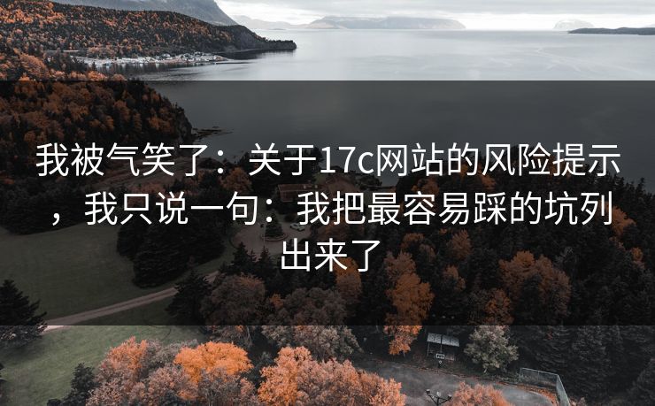 我被气笑了：关于17c网站的风险提示，我只说一句：我把最容易踩的坑列出来了