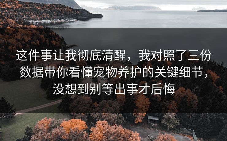 这件事让我彻底清醒,我对照了三份数据带你看懂宠物养护的关键细节,没想到别等出事才后悔 这件事让我彻底清醒,我对照了三份数据带你看懂宠物养护的关键细节,没想到别等出事才后悔