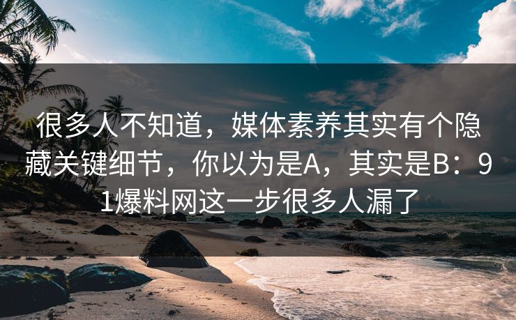 很多人不知道，媒体素养其实有个隐藏关键细节，你以为是A，其实是B：91爆料网这一步很多人漏了